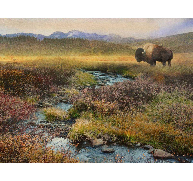 «Union Rustic Vest», art sur toile tendue par Chris Gallery: Bison and Creek, H 19 po x l 24 po