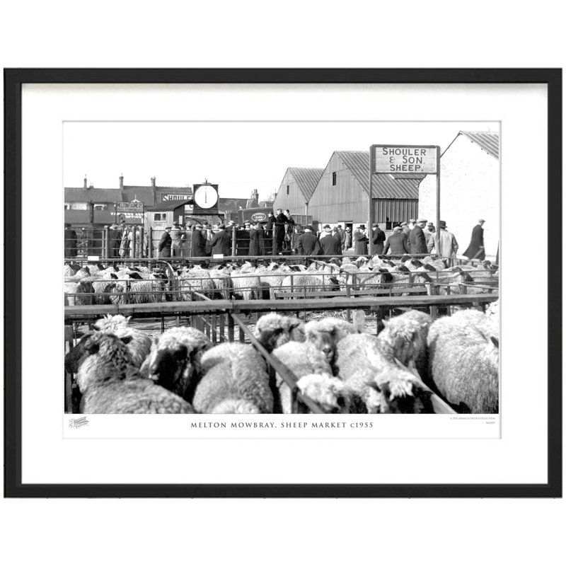 Melton Mowbray, Sheep Market C1955 - Single Picture Frame Print, 31.5cm H x 38.8cm W x 2.3cm D