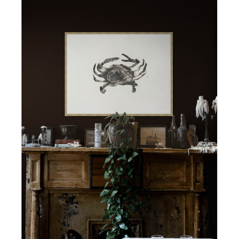 Ocean Creatures 1 Print by Kim Kimbro, 18.54" H x 23.54" W