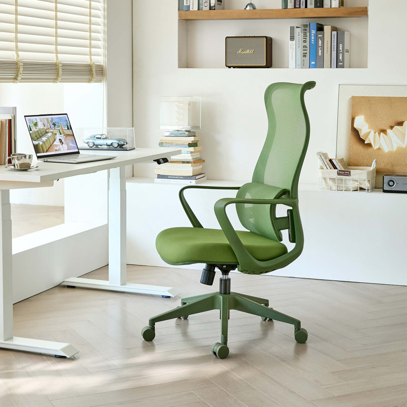 Fauteuil de bureau ergonomique et coloré 350LBS Home Office Mesh, Vert, Vert