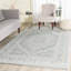Stromsburg Oriental Area Rug-1978151931-1978867284