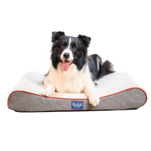Orthopedic Suede Pet Bed