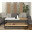 Aleida Frame Coffee Table