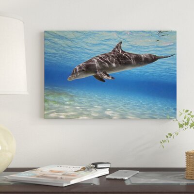 A Bottlenose Dolphin Swimming' Photographic Print Canvas -  East Urban Home, C6675582BD5D40D1BB665CCFBBA95588