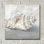 «Blue Shell Study 2» par Ethan Harper, art mural en verre acrylique-2141131893