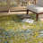 Auyeung Washable Abstract Indoor Rug-1941302870