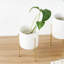 Liliath Pot Planter-1554599441-1554599446