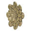 Plaque murale succulente