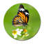 Beautiful Butterfly Print-23528108