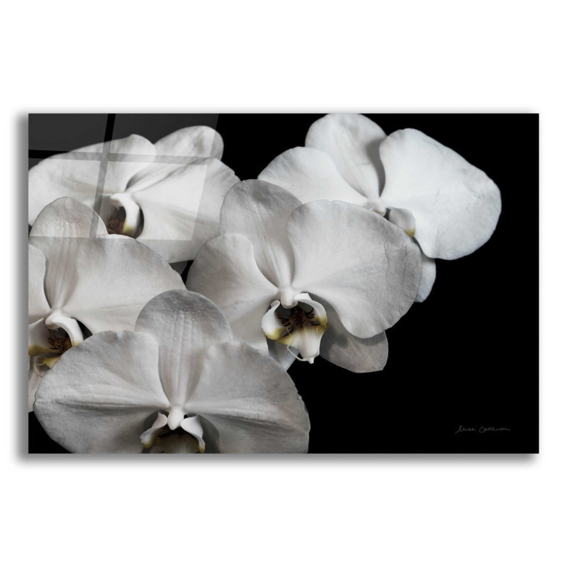 «White Orchid II» par Elise Catterall, art mural en verre acrylique, H 16 po x l 24 po x P 0,2 po