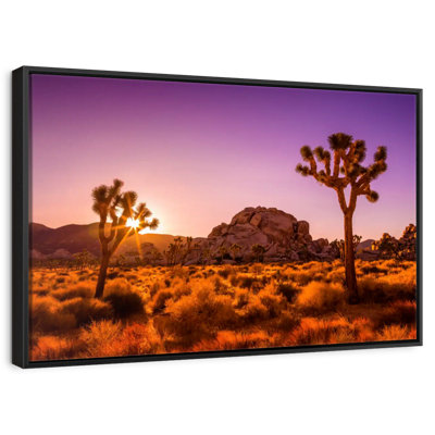 Sunlit Joshua Trees