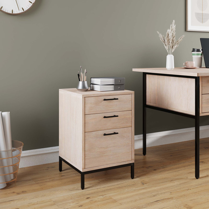 Tajmere 20'' Wide 3 -Drawer File Cabinet
