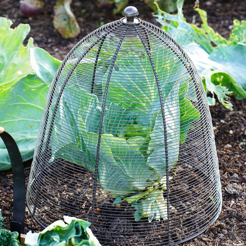 Wired Plant Protector, 48cm H x 36cm W x 14.17cm D, Zinc