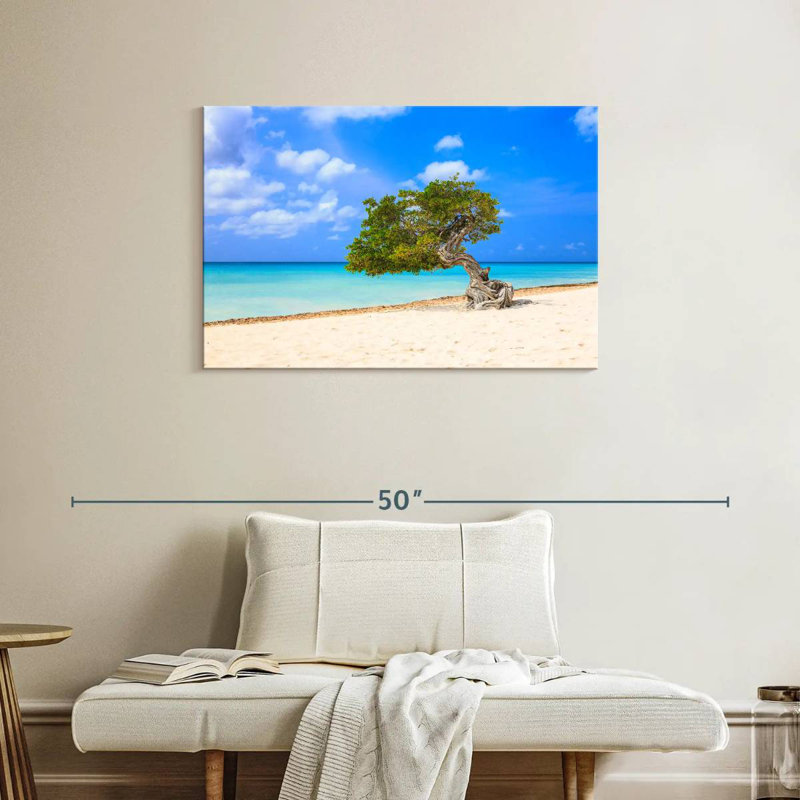 Lone Tree On Aruba Gillard