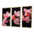 Toile avec cadre flottant or