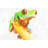 Curious Red Eyed Frog - Wildlife Canvas for Home Decor