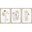 "Minimal Botanical" Wildflowers-91875094-91875095