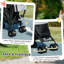 Poussette pour chien miniature, pliable, gris clair