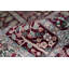 Wool Oriental Area Rug