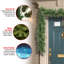 Le Holiday Aisle® 9 pi. Guirlande Winchester