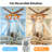 52'' Ceiling Fan With Light Kit And Remote