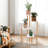 Abdikarin Plant Stand