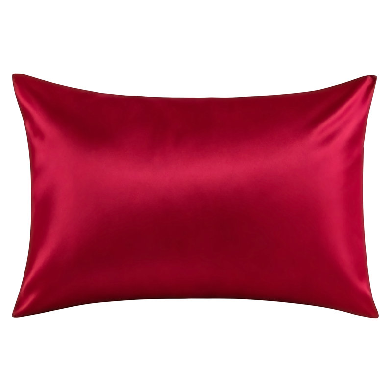 Zippered 19 Momme Natural Mulberry Silk Pillowcase, Both‑Side Real Silk Pillow Cover for Hair & Skin, Sold as 1 Piece - NTBAY