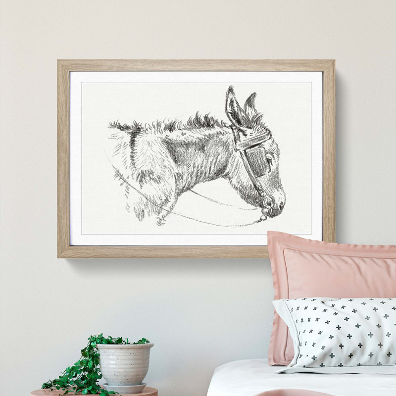The Head of a Donkey by Jean Bernard - Picture Frame Drawing Print, Oak Framed, 36cm H x 48cm W x 2cm D