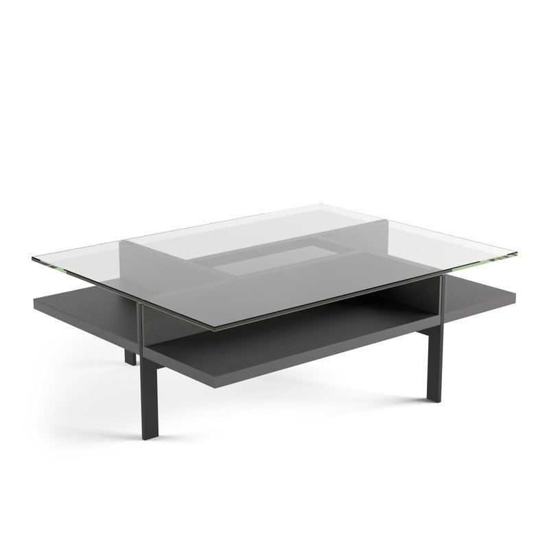 Table basse avec rangement Terrace, H 16,25 po x L 44 po x l 34 po, Charbon