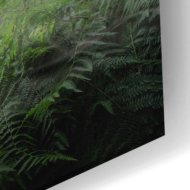 «Carnotaurus», art mural en verre acrylique, H 16 po x l 24 po x P 0,2 po
