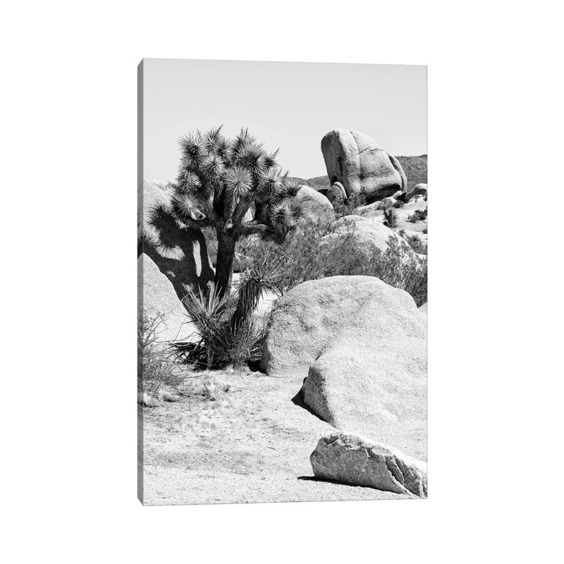 Black California Series - Joshua Tree Bouldering - Wrapped Canvas Print, 20.32 cm H x 30.48 cm W