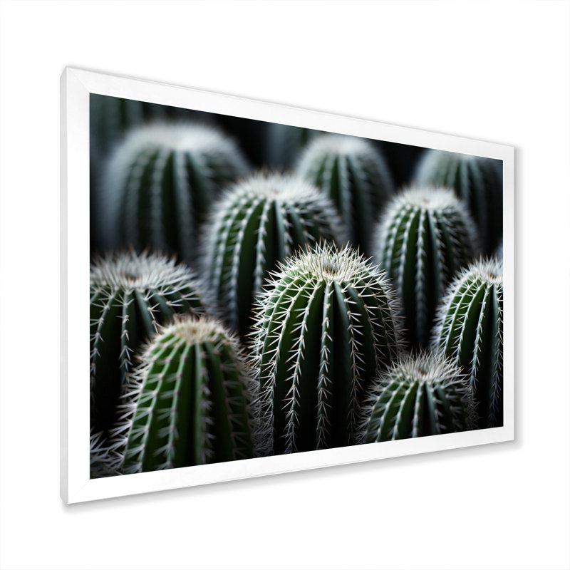 Vert, blanc, cactus, sublime minimalisme - impression, H 12 po x l 20 po x P 1 po, Cadre photo blanc