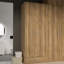 Sugata Manufactured Wood Wardrobe