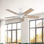 Erikson Ceiling Fan-1492691068-1492691066