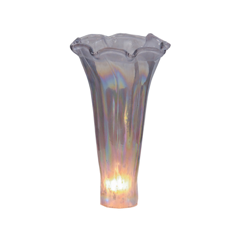 Novelty Lamp Shade
