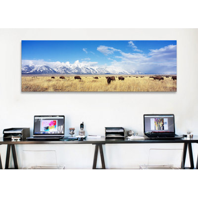 «Panoramic Bison Herd», parc national de Grand Teton, Wyoming, reproduction de photo sur toile