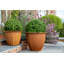 Norman Planter-14486367