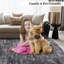 200 cm x 290 cm Area Rug