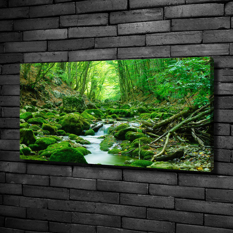 Stream in the forest 1 Piece Wall Art on Glass, 50cm H x 100cm W x 2cm D, Canvas