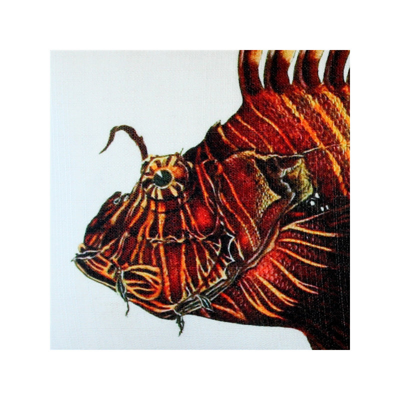  Coussin intérieur / extérieur Lionfish