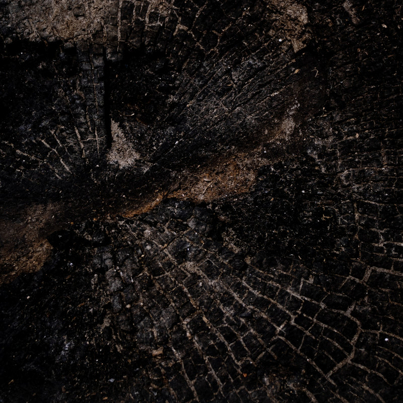 Char XI Print by La Gurvia Madaeras, 20" H x 30" W x 1.5" D