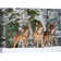Wolves In The Snow, Germany - Wrapped Canvas Print