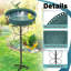 Birdbath-905264591
