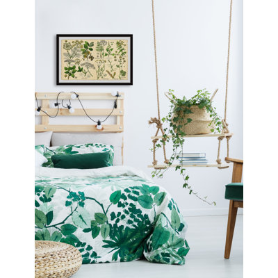 Selinum Carvifolia - Single Picture Frame Painting