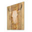 Hers Southwest Bones - reproduction de la faune dorée sur bois de pin naturel-54972302