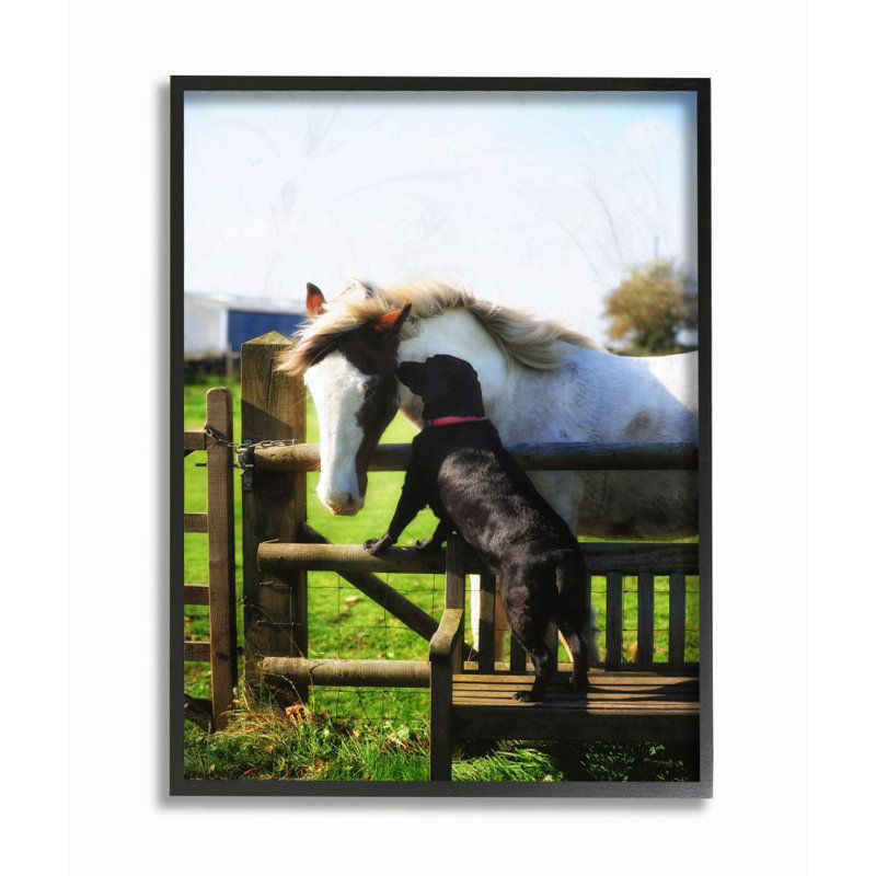 «Farm Horse and Dog», photographie, H 20 po x l 16 po x P 1,5 po, Giclée encadrée noir minuit