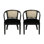 Ensemble de chaises de salle à manger à accoudoirs en velours l 23,5 po x P 21,5 po x H 30,5 po Christopher Knight Home (ensemble de 2)