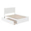 Lit plateforme double en bois massif avec lit gigogne Abbie par Harriet Bee-1027927781