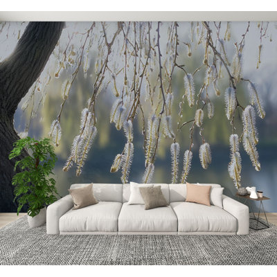 Peel and Stick Wallpaper backlight between branches weeping willow park Wall Murals 100"H x 144"W Removable PVC Wall Paper Self-Adhesive Wall Paintings Art Decor for Bedroom Living Room