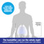 Humidificateur ultrasonique de table 1 gallon